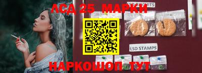 стаф Жуковский