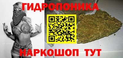 стаф Жуковский